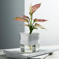 uploads/erp/collection/images/Home Garden/lingjiao/XU0624122/img_b/XU0624122_img_b_3